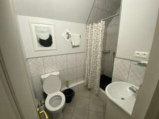 Гостевой дом Славянский Двор Гатчина Двухместный номер с 1 кроватью-1