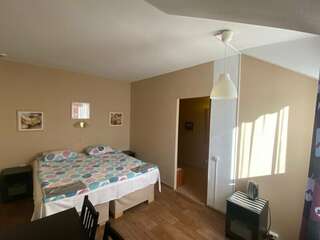 Гостевой дом Славянский Двор Гатчина Двухместный номер с 1 кроватью-7