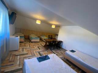 Гостевой дом Славянский Двор Гатчина Семейный-2