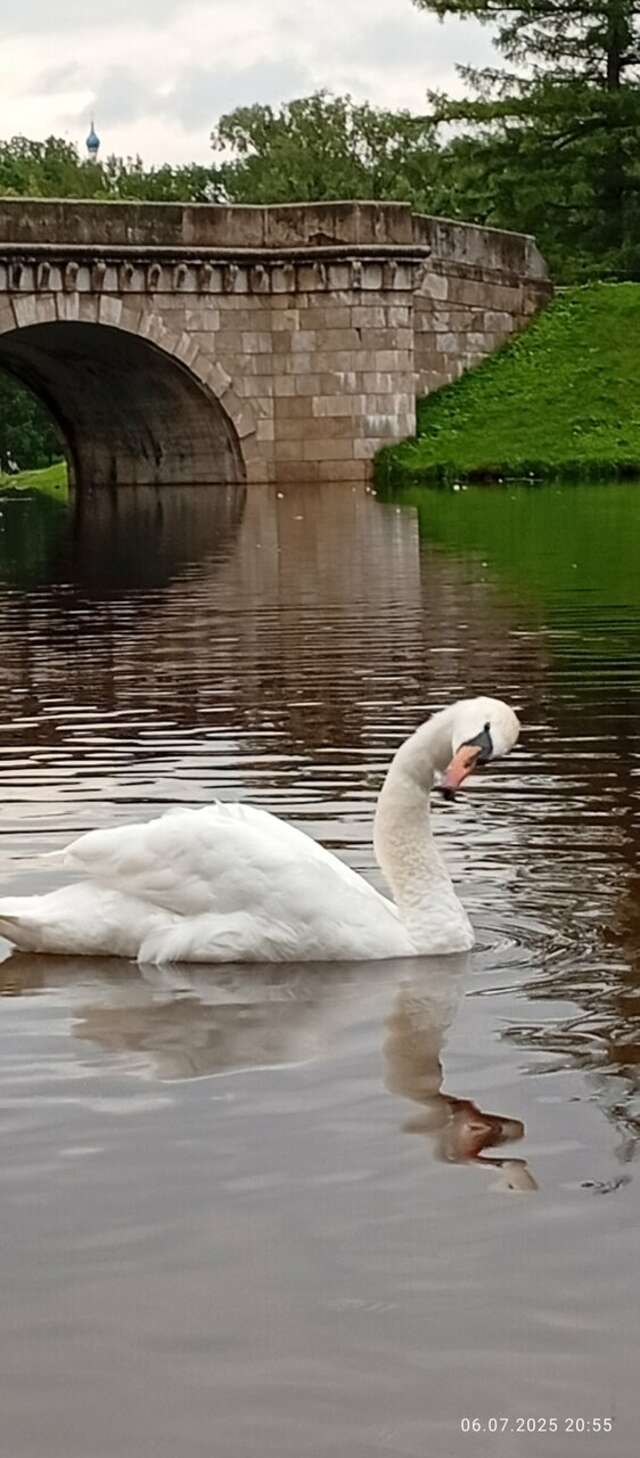 Гостевой дом Славянский Двор Гатчина-16